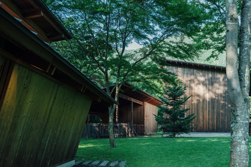 Cluster of timber-clad volumes with metal roofs and exposed eaves across a mowed lawn with trees