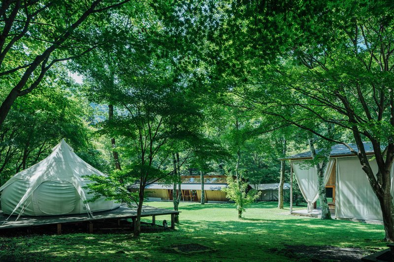 Canvas tent pavilions on timber platforms across a lawn clearing beneath mature trees