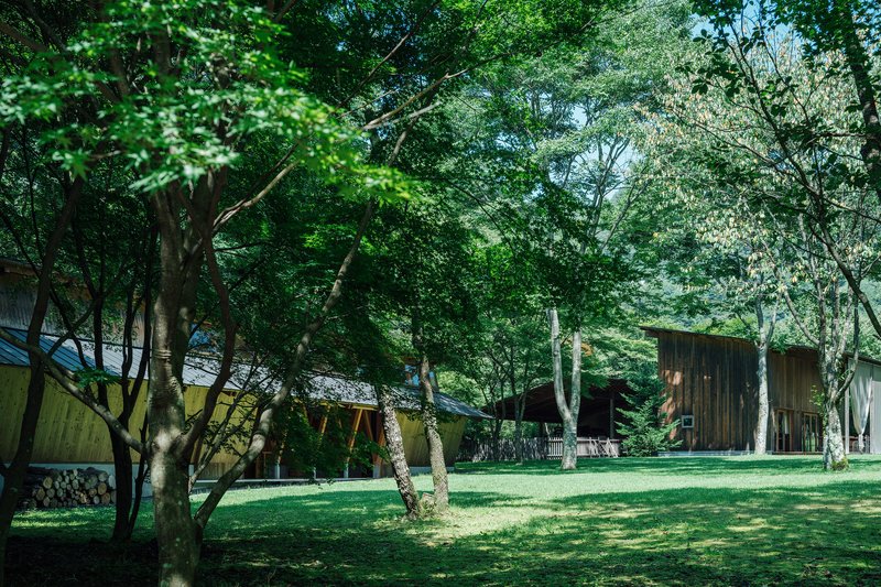 View across the lawn showing scattered timber structures under dappled sunlight filtering through branches