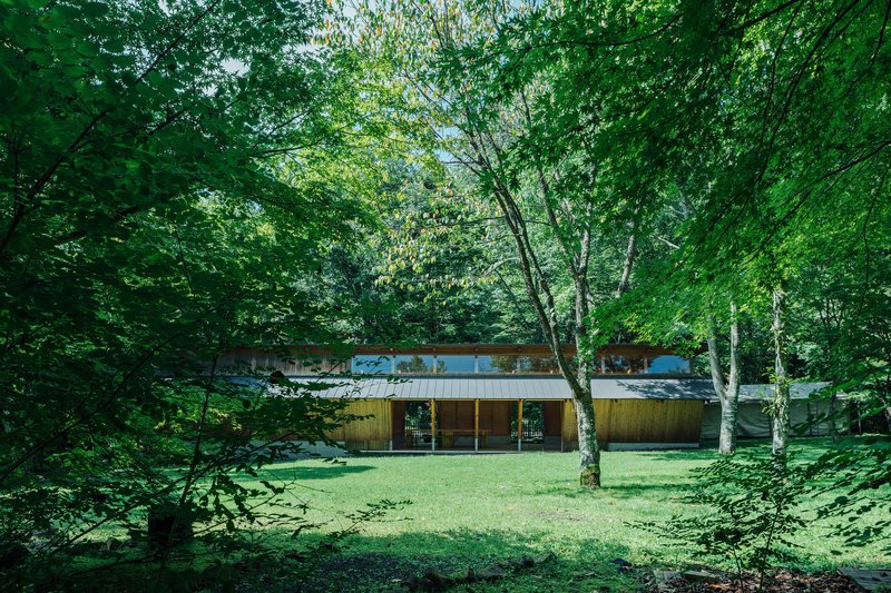 Horizontal facade with clerestory windows and timber cladding set in a clearing among birch and deciduous trees