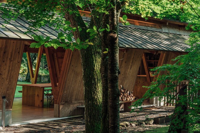 Timber pavilion with metal roof and diagonal columns framed by moss-covered tree trunks and green foliage