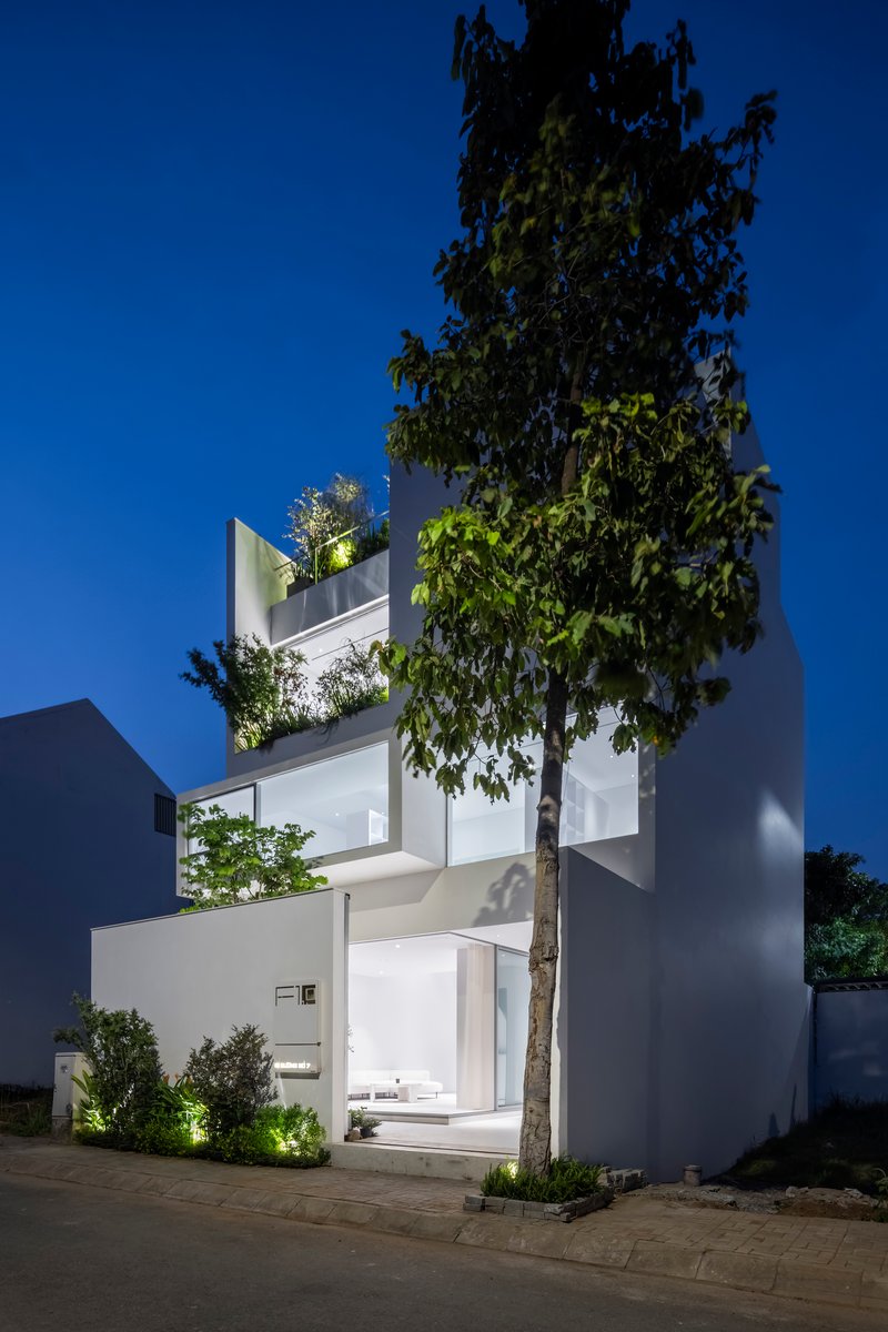 Street view at night with a mature tree framing the white facade and glowing interior spaces