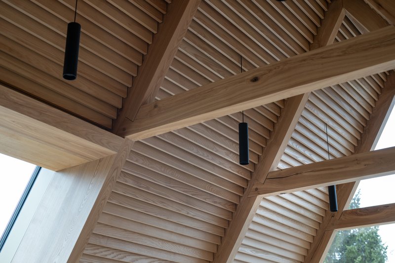 Vaulted ceiling with exposed timber beams and horizontal slat infill panels in natural light