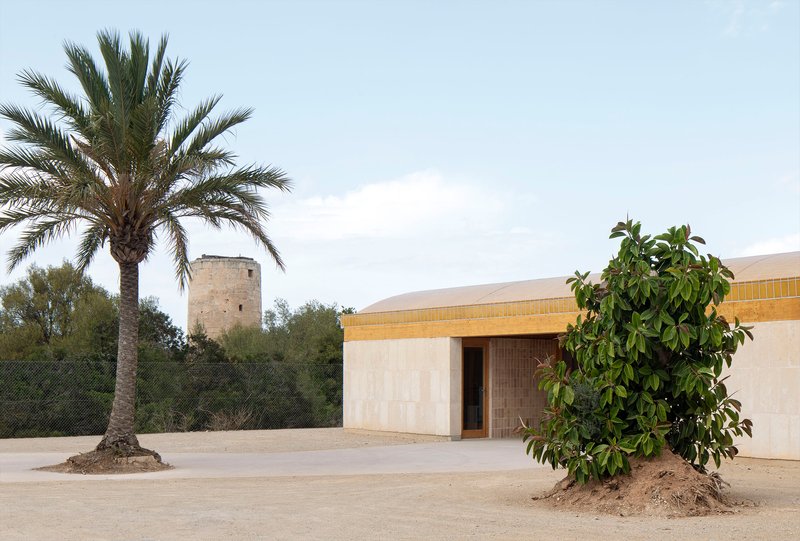 Entry facade with curved roof, timber doorway, palm tree and citrus tree on sandy ground