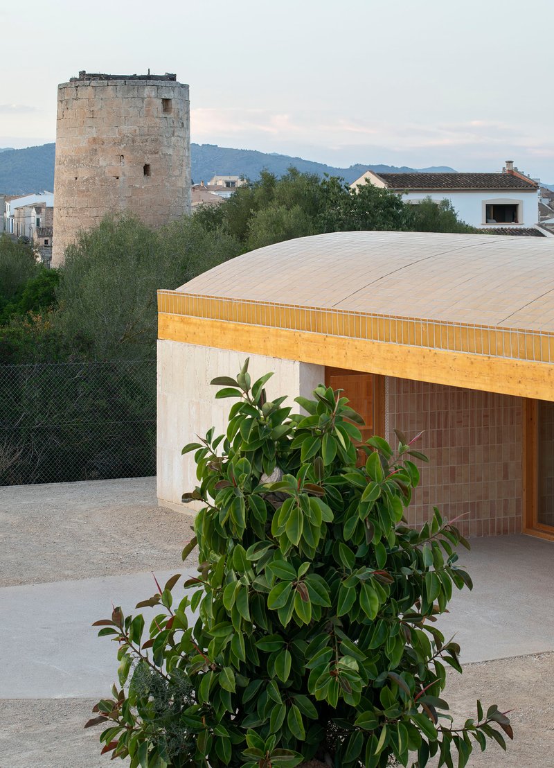 Curved timber roof and concrete terrace with a potted plant and historic stone tower in the background