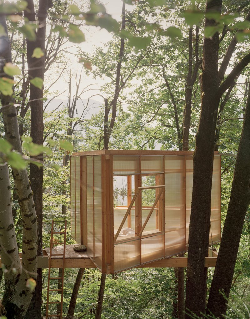 Translucent polycarbonate and timber frame enclosure on stilts viewed through tree trunks and foliage