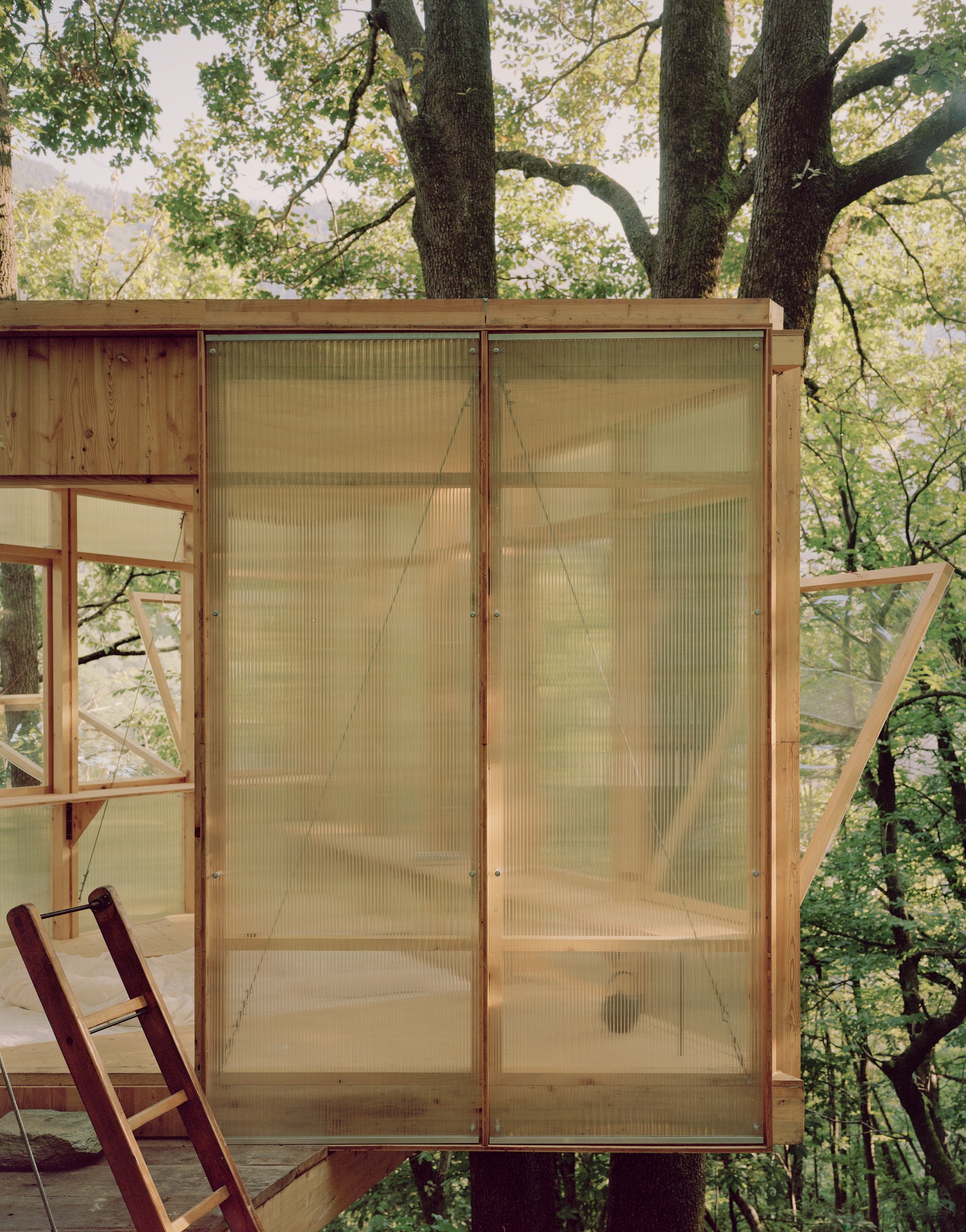 Olin Petzold Suspends a 12 m² Writing Cabin Between Three Oak Trees in the Swiss Alps