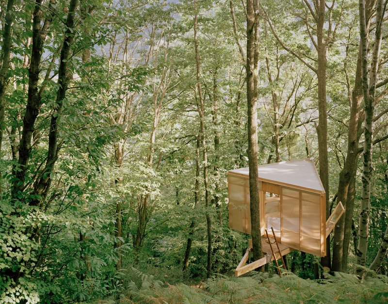 Timber-clad pavilion with glazed walls and diagonal bracing elevated among deciduous trees in dappled sunlight