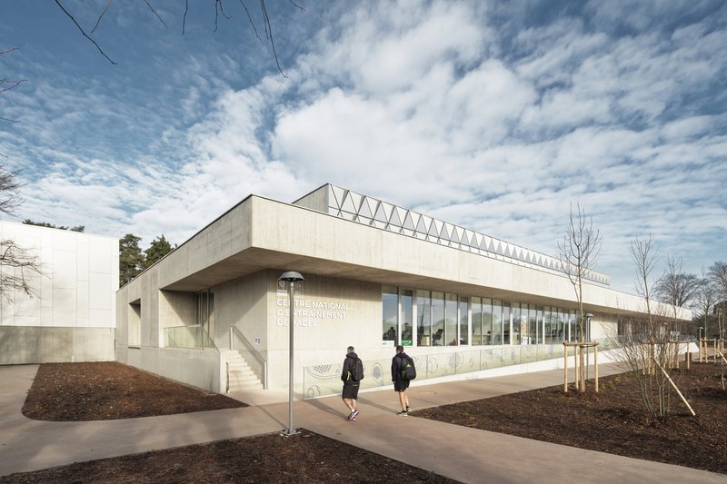 Entry facade with cantilevered roof overhang and two figures approaching on the paved path