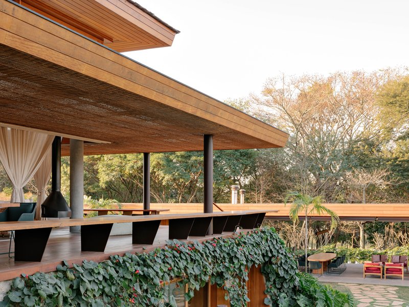 Elevated terrace with timber decking and woven timber ceiling overhang above vine-covered pergola below