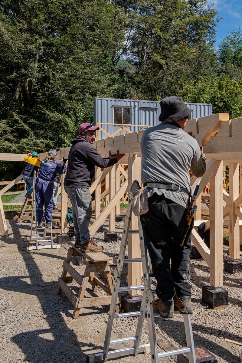 Three workers assembling timber frame structure on sawhorses under bright sunlight