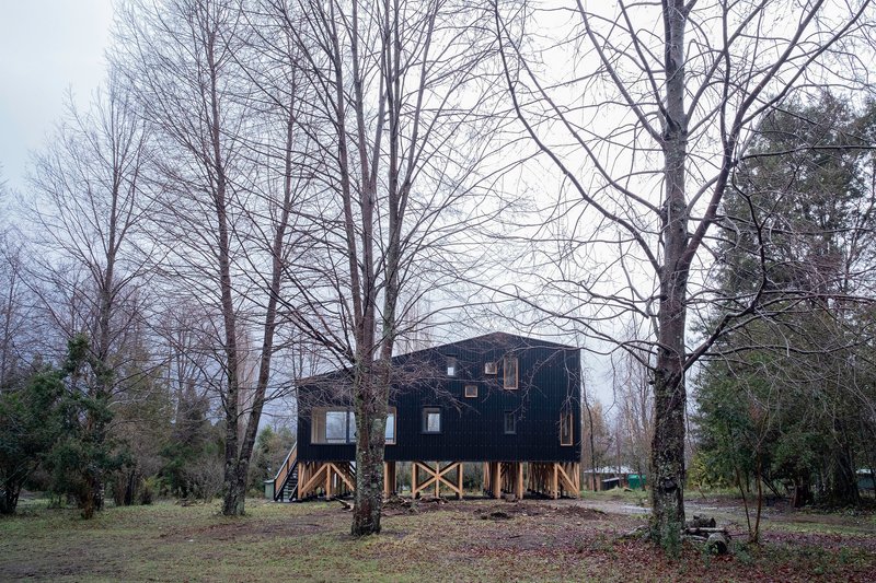Dark corrugated structure elevated on timber stilts among bare winter trees under overcast sky