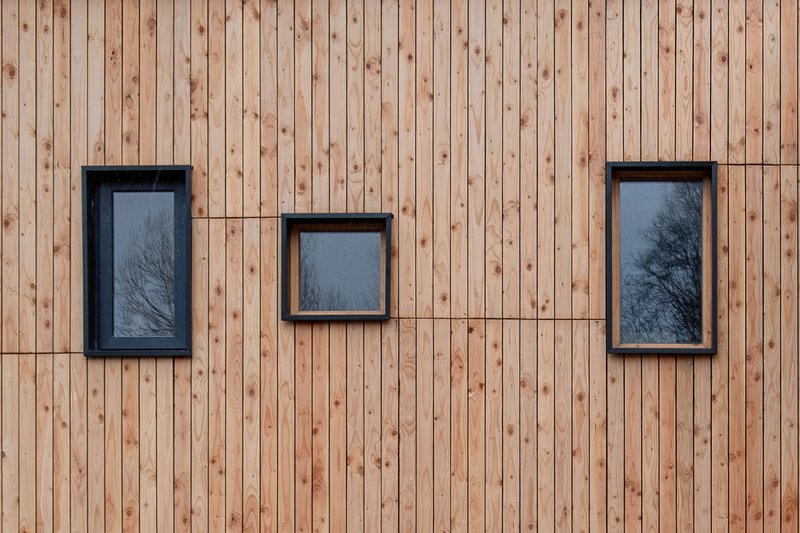 Three black-framed windows at varying heights on vertical timber board cladding reflecting bare branches