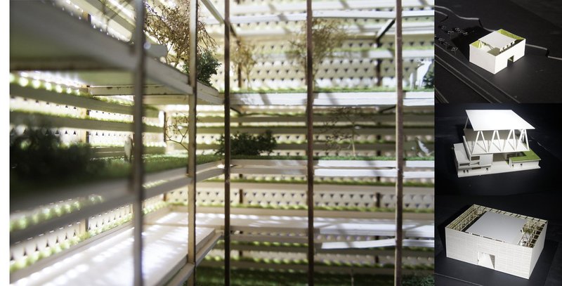 Interior experience of a living architecture where vegetation, light, and space shape a new childhood environment.