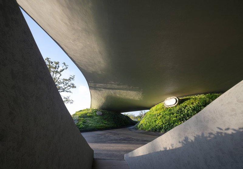 View upward through the curving concrete underside of the cantilevered roof toward the planted slope