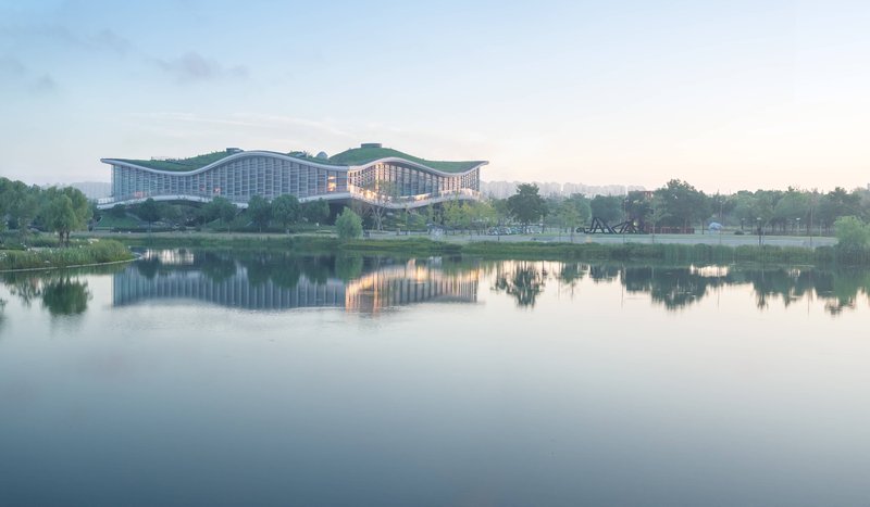 View across the lake showing the undulating green roof reflecting in still water at dawn