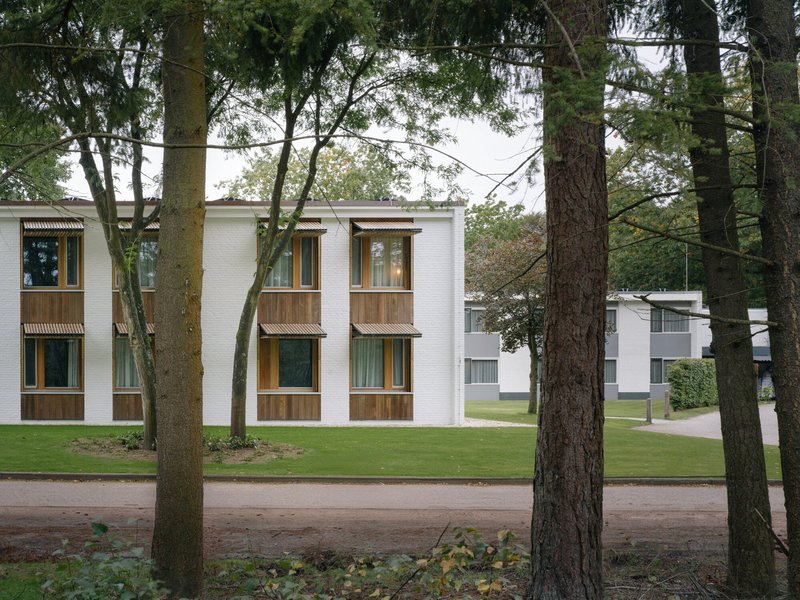 White brick facade with timber-clad balconies framed by tall deciduous trees on a lawn