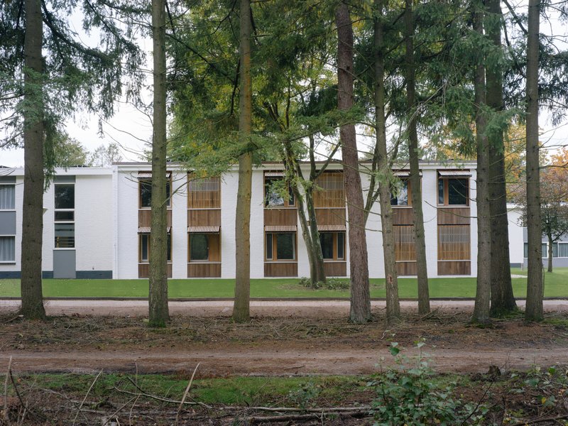 Garden elevation showing vertical timber screens and windows set into white masonry walls