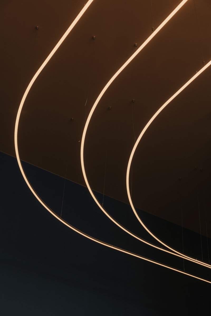 Suspended curved LED light fixtures against a dark ceiling in a night interior