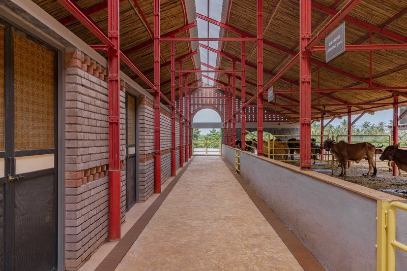 Interior corridor with red steel trusses, timber ceiling and cattle stalls along yellow railings