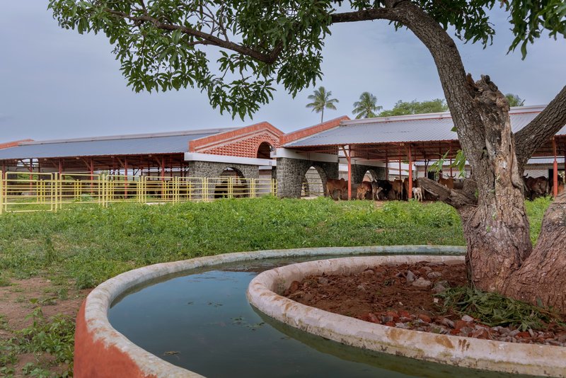 Circular water feature with red and grey rim in a grassy courtyard with cattle sheds and trees beyond