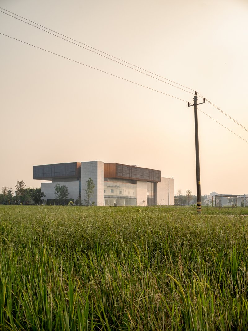 Long view across green rice fields with overhead power lines and hazy sunset sky