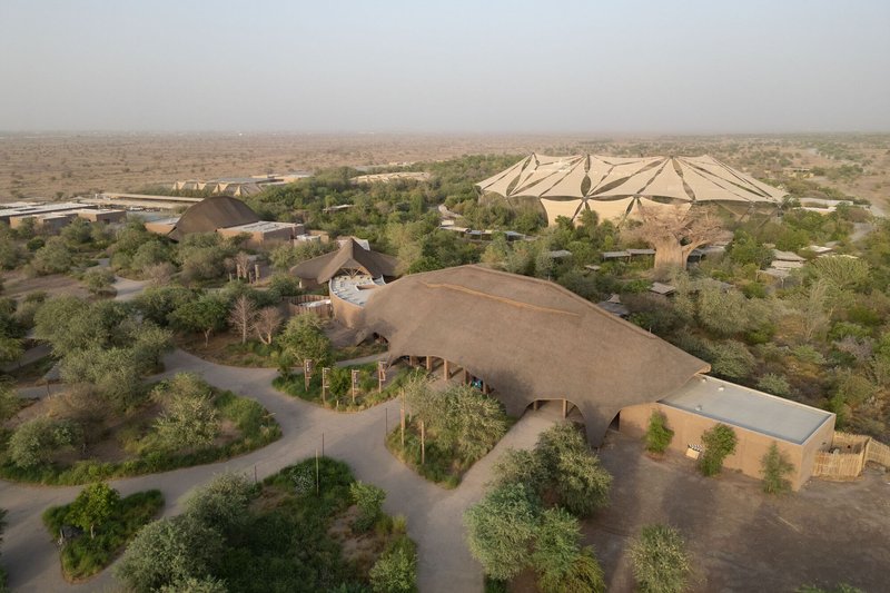 Aerial view of thatched roof structures clustered among trees in a dry landscape with hazy horizon