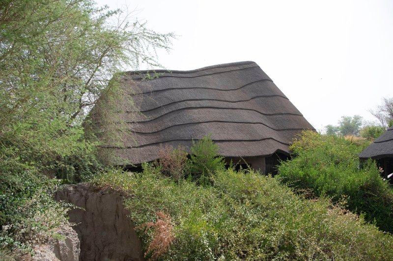 Close view of the layered thatched roof with horizontal ridges rising above dense surrounding vegetation