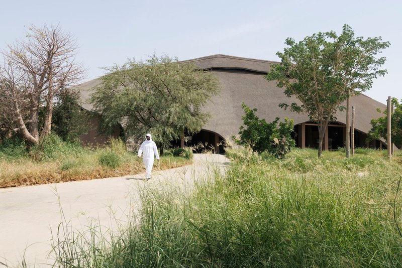 Curved thatched roof volume with open arched openings approached by a figure in white along a pathway