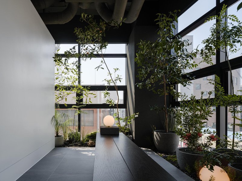 Interior garden courtyard with potted trees and a wooden bench beneath black steel framing