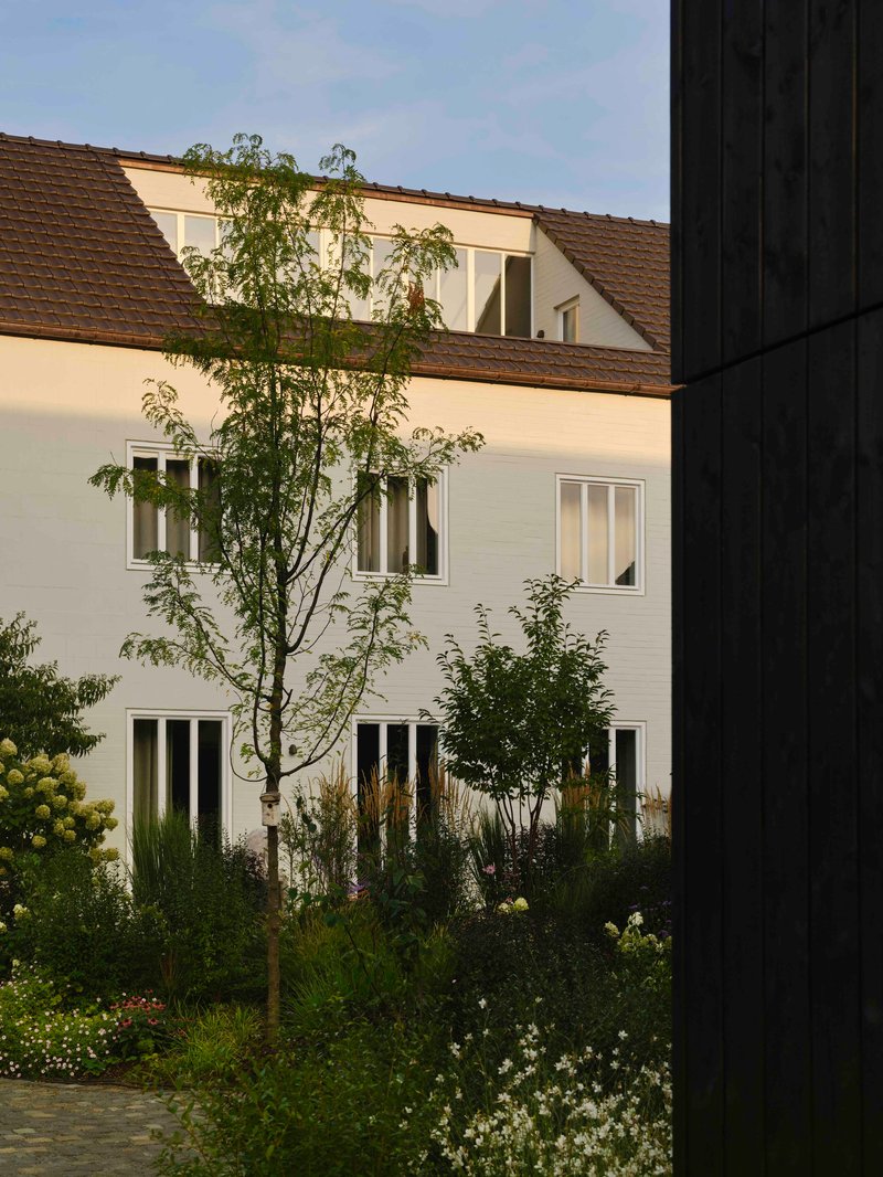 White rendered facade with dormer window behind garden beds and young trees at dusk
