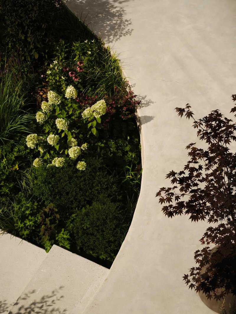 Overhead view of a planted bed with hydrangeas and grasses casting dappled shadows on pale paving