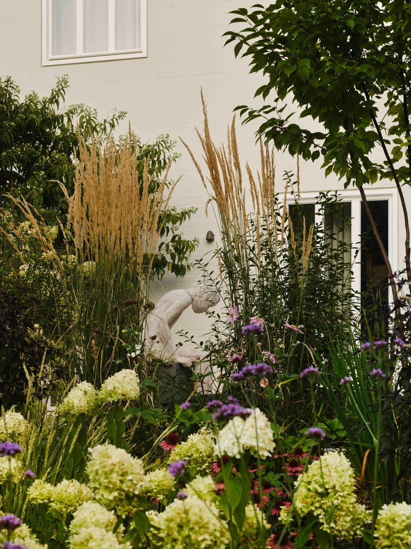 Garden bed with hydrangeas, ornamental grasses and purple flowers against a white rendered wall