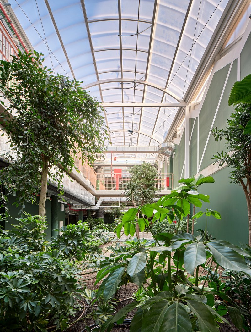 Glazed atrium with arched roof and dense plantings between balconies on overcast day