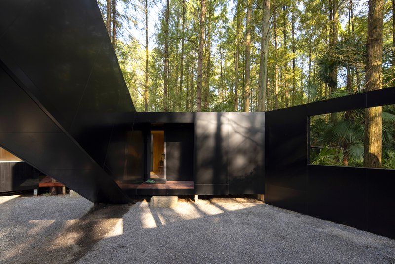Entry view showing the black metal volume with timber door framed by dappled morning sunlight