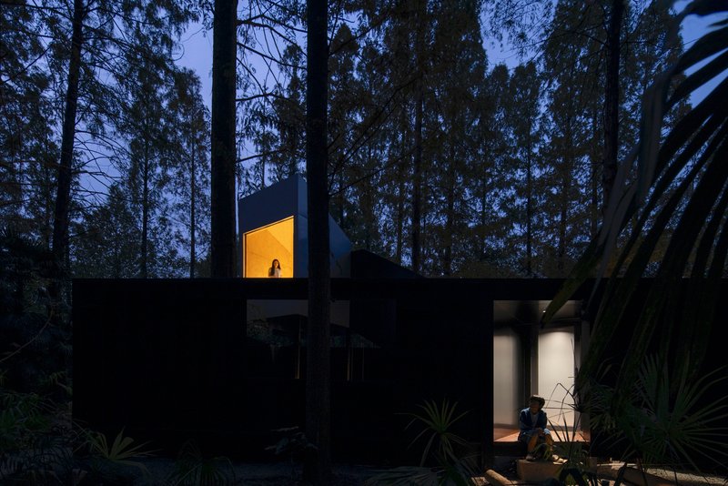 Black metal-clad facade with illuminated openings at dusk among dense pine trees