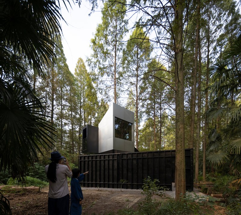 White volumetric upper storey cantilevered above a dark timber fence wall surrounded by tall eucalyptus and palm trees