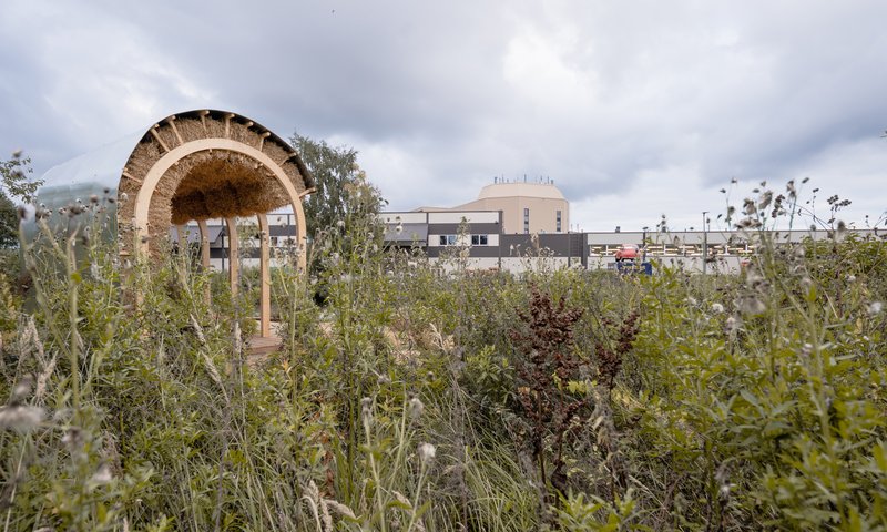 Kollektiiv Builds a Straw Chapel on Tallinn's Pollinator Highway
