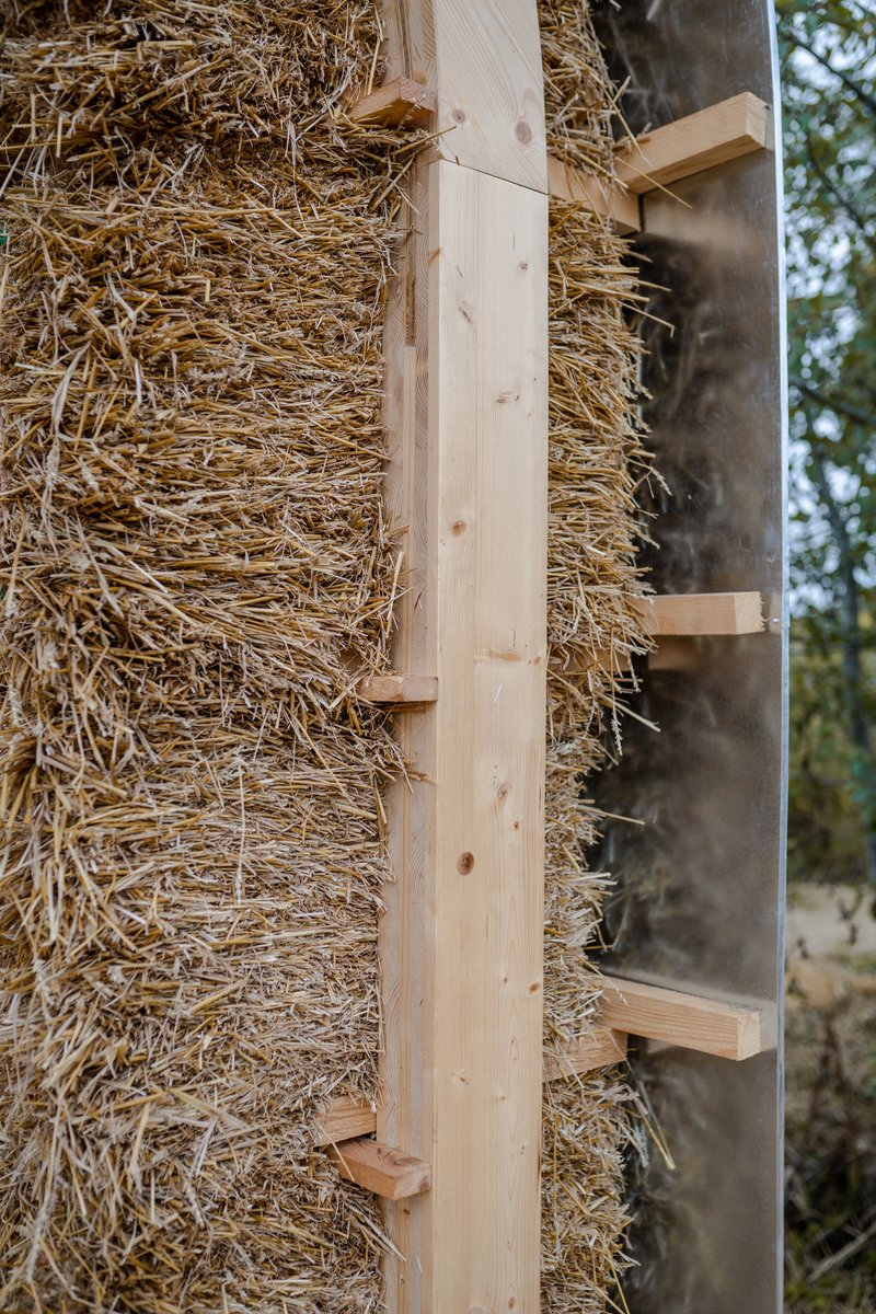 Detail of straw bale wall with timber framing and wooden pegs visible against a tree trunk