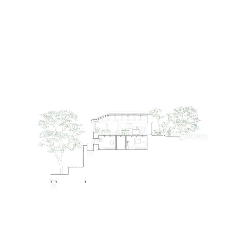 Section drawing revealing a split-level building stepping down the hillside among mature trees