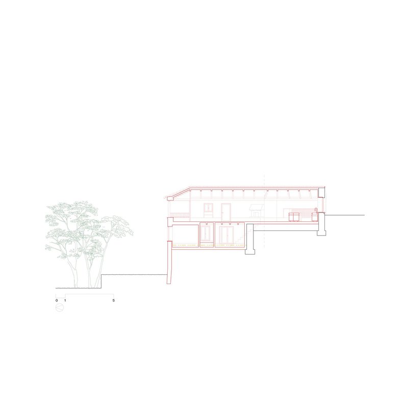 Section drawing with the upper level and structural walls highlighted in red among trees