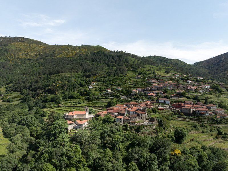 Hillside village with terracotta roofed houses dispersed across agricultural terraces between forested slopes under afternoon light