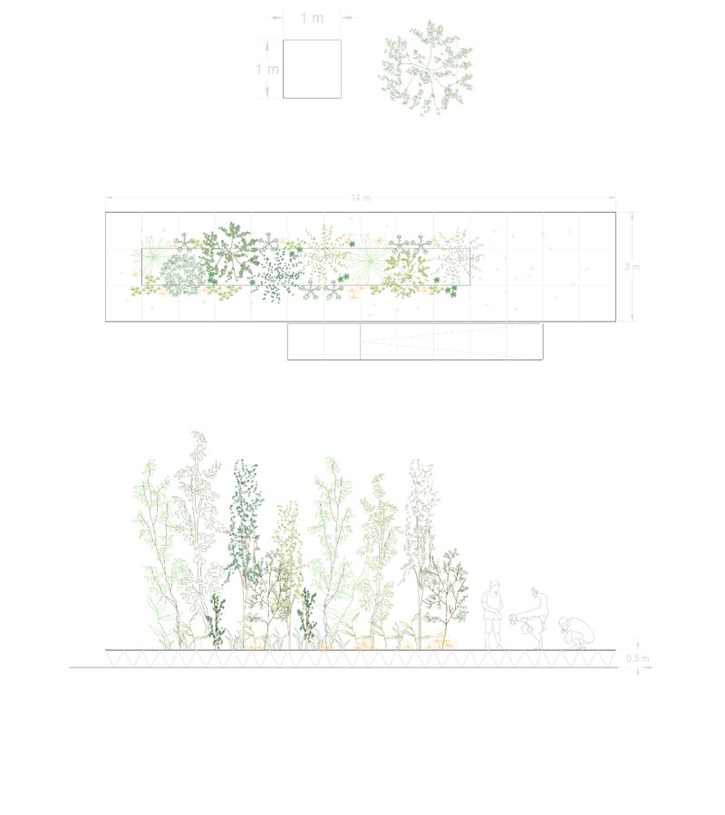Adaptive architectural system combining modular design, vegetation, and recycled materials for urban activation.
