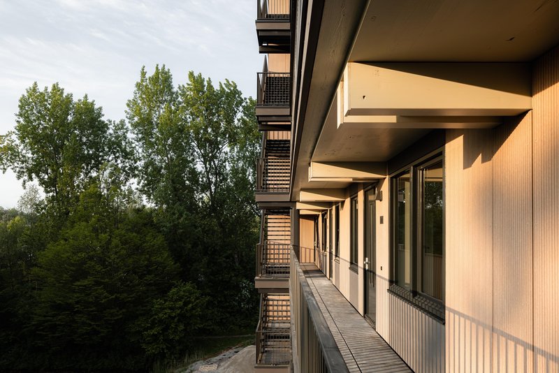 Recessed balcony corridor with concrete slabs and ribbed timber privacy screens overlooking green trees
