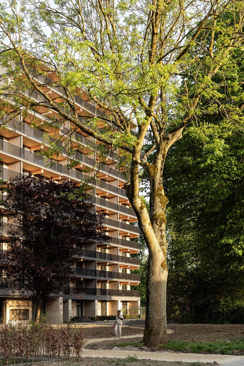 Apartment tower viewed through dense foliage with two figures walking on the gravel path