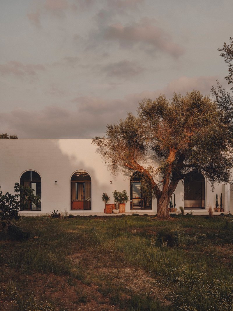 White stucco facade with arched openings and timber door beneath an olive tree at dusk