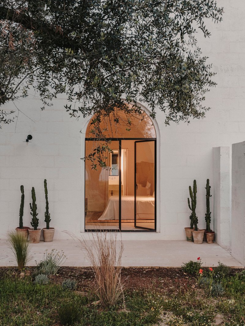Arched glass door set in white plaster wall with olive branches above and potted cacti