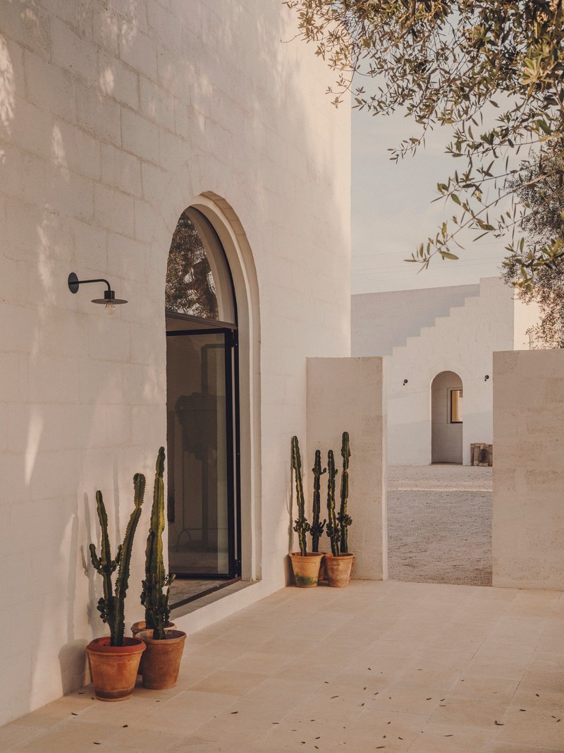 Arched doorway with glazing and terracotta pots of cacti beneath olive branches and dappled sunlight