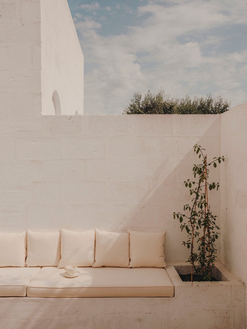 Built-in bench seating in a courtyard corner with climbing vine and olive trees above the wall