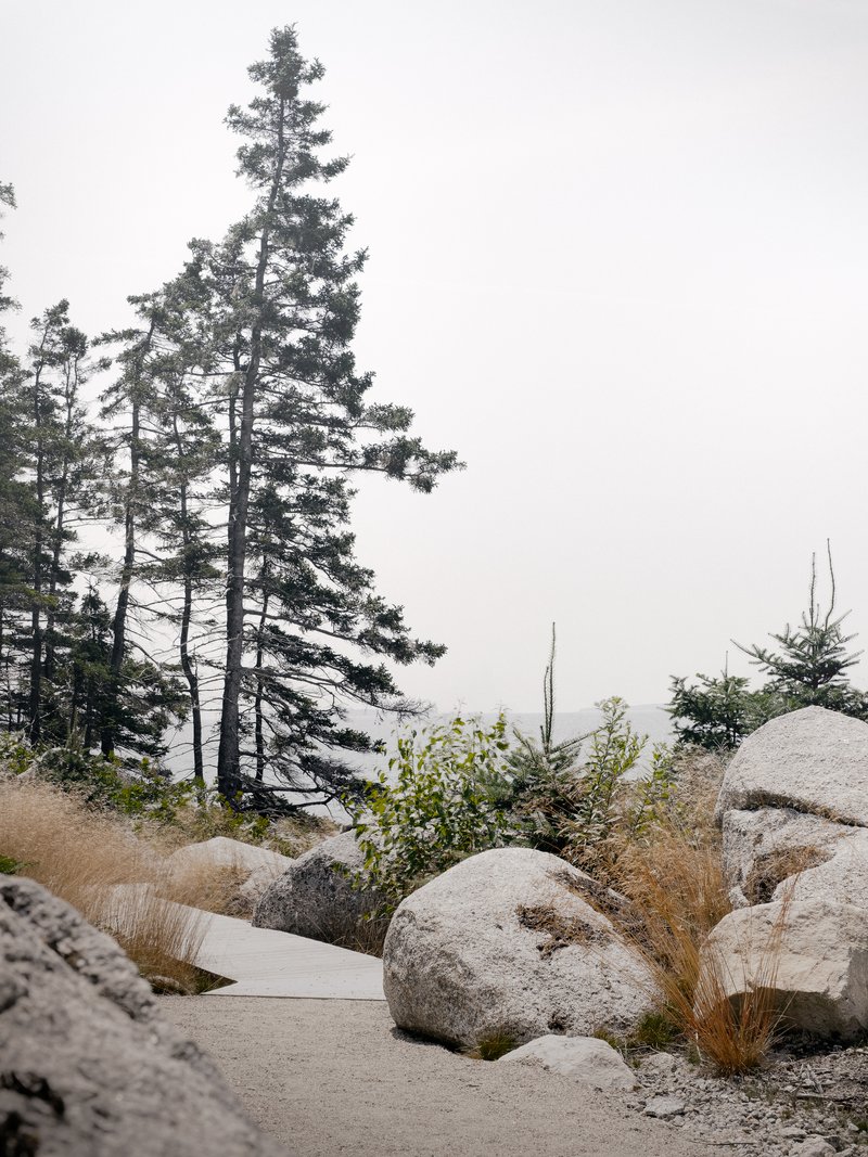 Concrete pathway winding through boulders, grasses and evergreens in thick fog